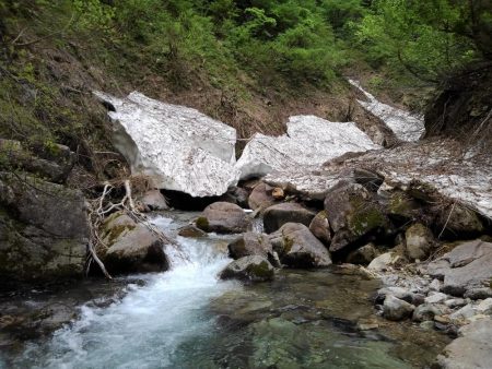 増水した渓でイワナ爆釣